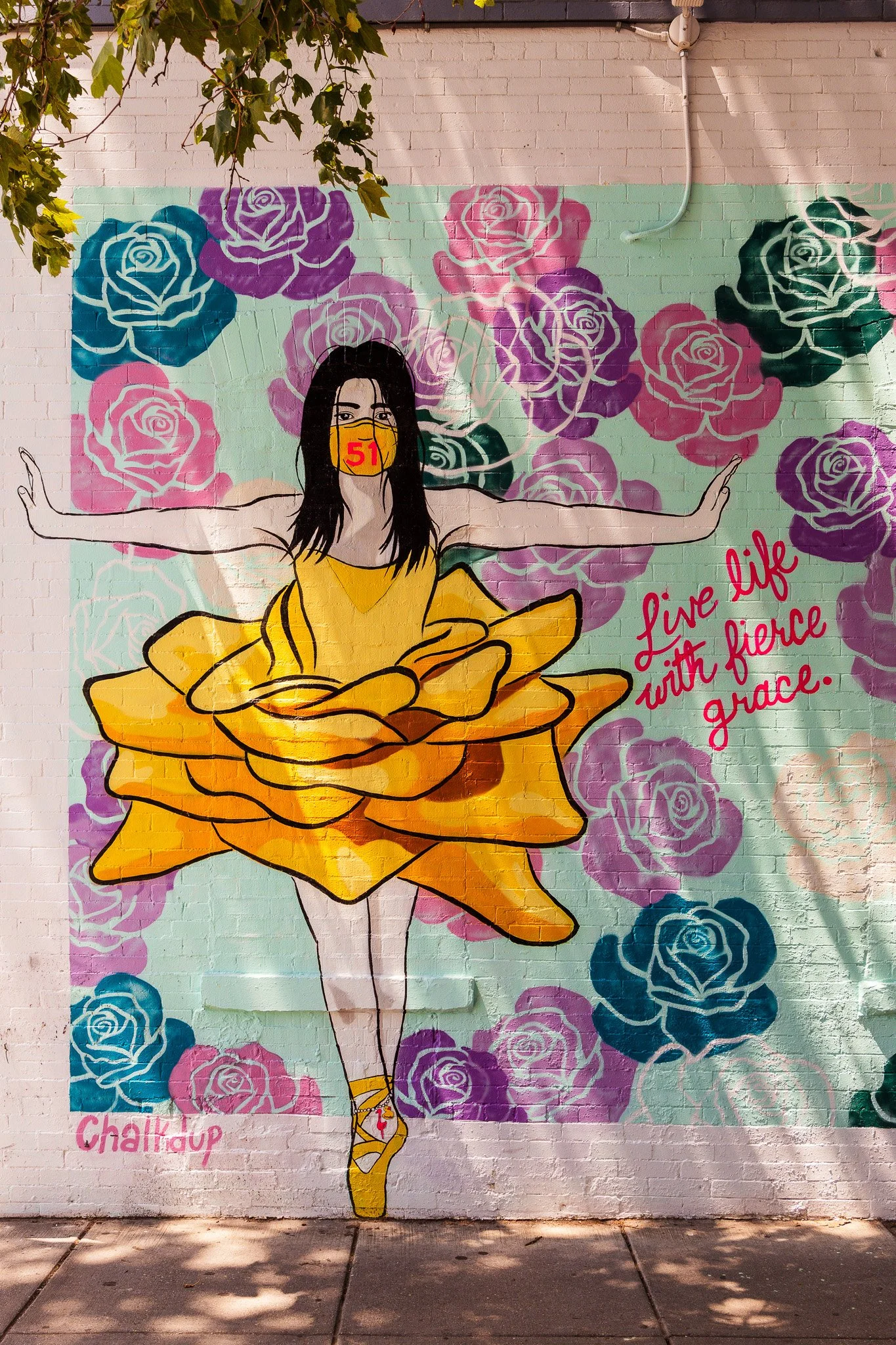 Washington DC Murals & Street Art Photography Guide — Chasing